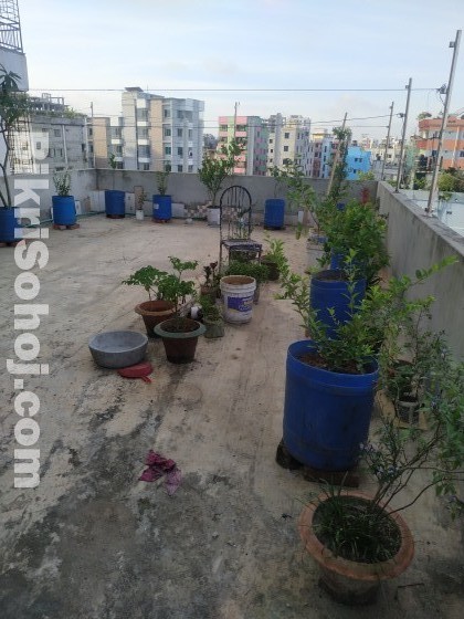 Roof top plants with gardening soil & appropriate drum